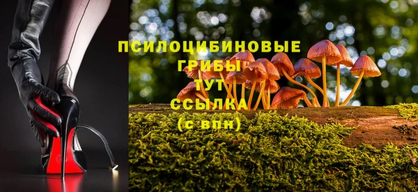 ECSTASY Приозерск